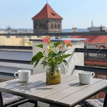 Skyline 3br Rooftop Terrace In Center 프라하